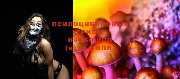 экстази Гусь-Хрустальный