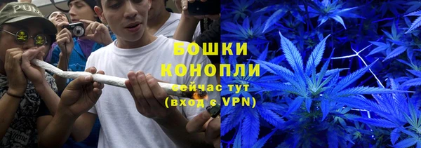 крисы Горно-Алтайск