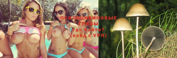 шишки Горнозаводск