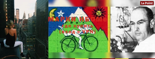 дурь Дубна