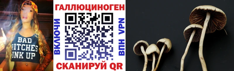 Галлюциногенные грибы прущие грибы  Дубна 